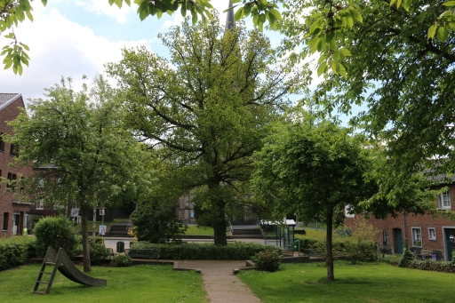 Die Linde auf dem Dorfplatz Linden-Neusen