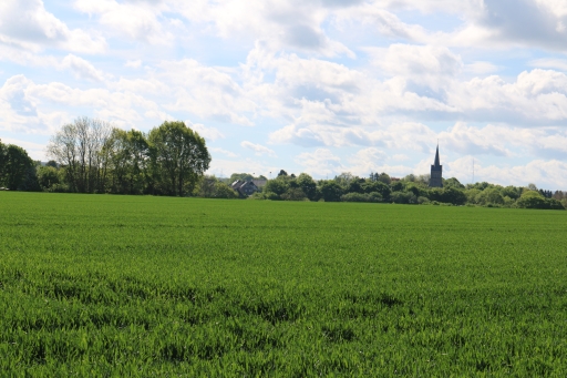 Linden-Neusen with church St. Nikolaus from the direction of Euchen