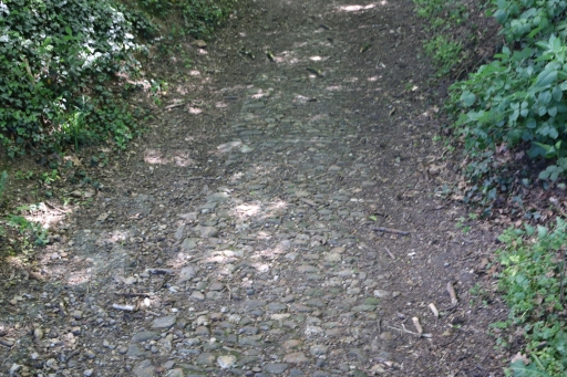 Historic pavement Holzweg