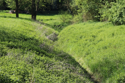 Stream Broichbach near the spring at Linden-Neusen