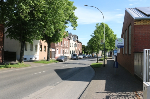 Linden at former brick manufacture view direction Kolpingstraße