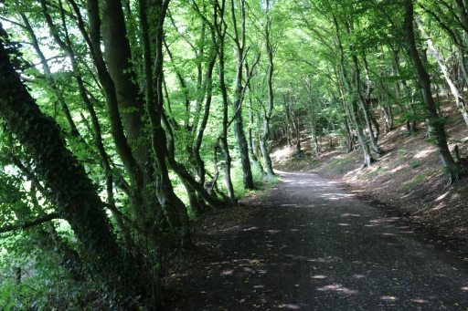 Valley of the river Wurm near Adamsmühle