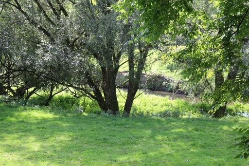 Valley of the river Wurm near Adamsmühle