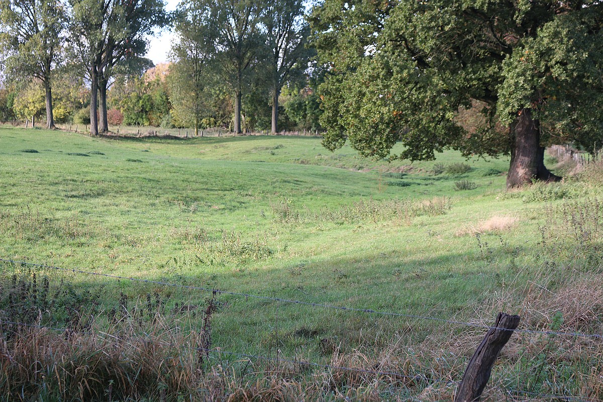 Bodendenkmal B3 der Stadt Würselen